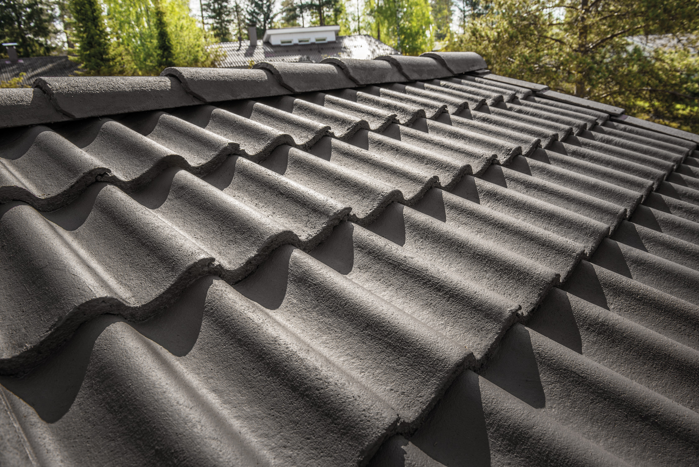 Rensa Roof Kattopesu 5l