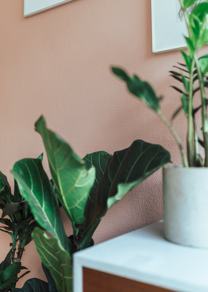 Miniväripurkki Colour Sample Ihana T1522 0,125 L