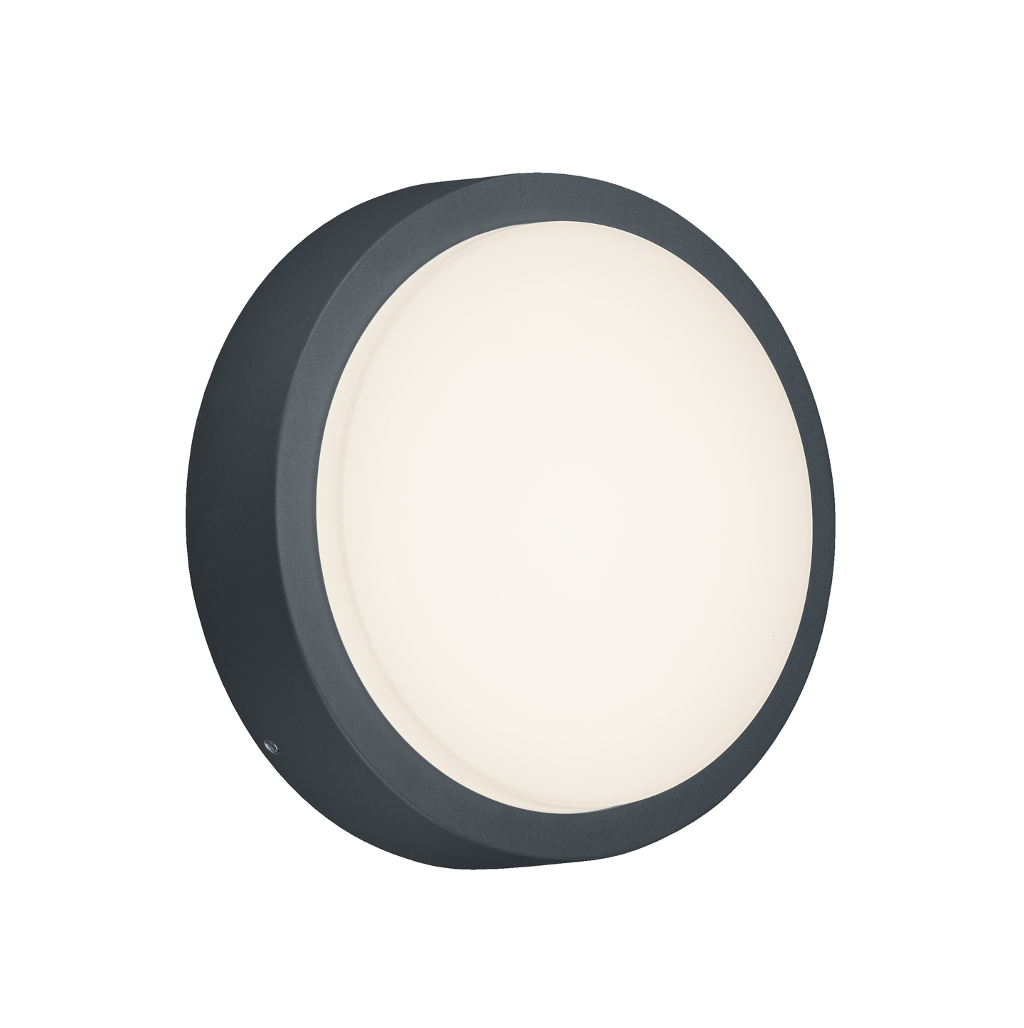 Seinävalaisin TRIO Breg led 8,5W IP54 antrasiitti