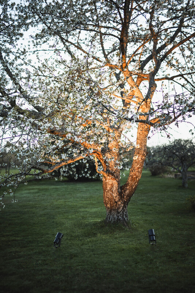 Maavalaisin Hide-a-lite Spot It IP67 2300lm 3/4k 38ast 25w Bl