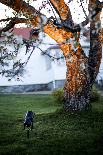 Mekaaninen Lisätarvike Hide-a-lite Spot It Maapiikki musta