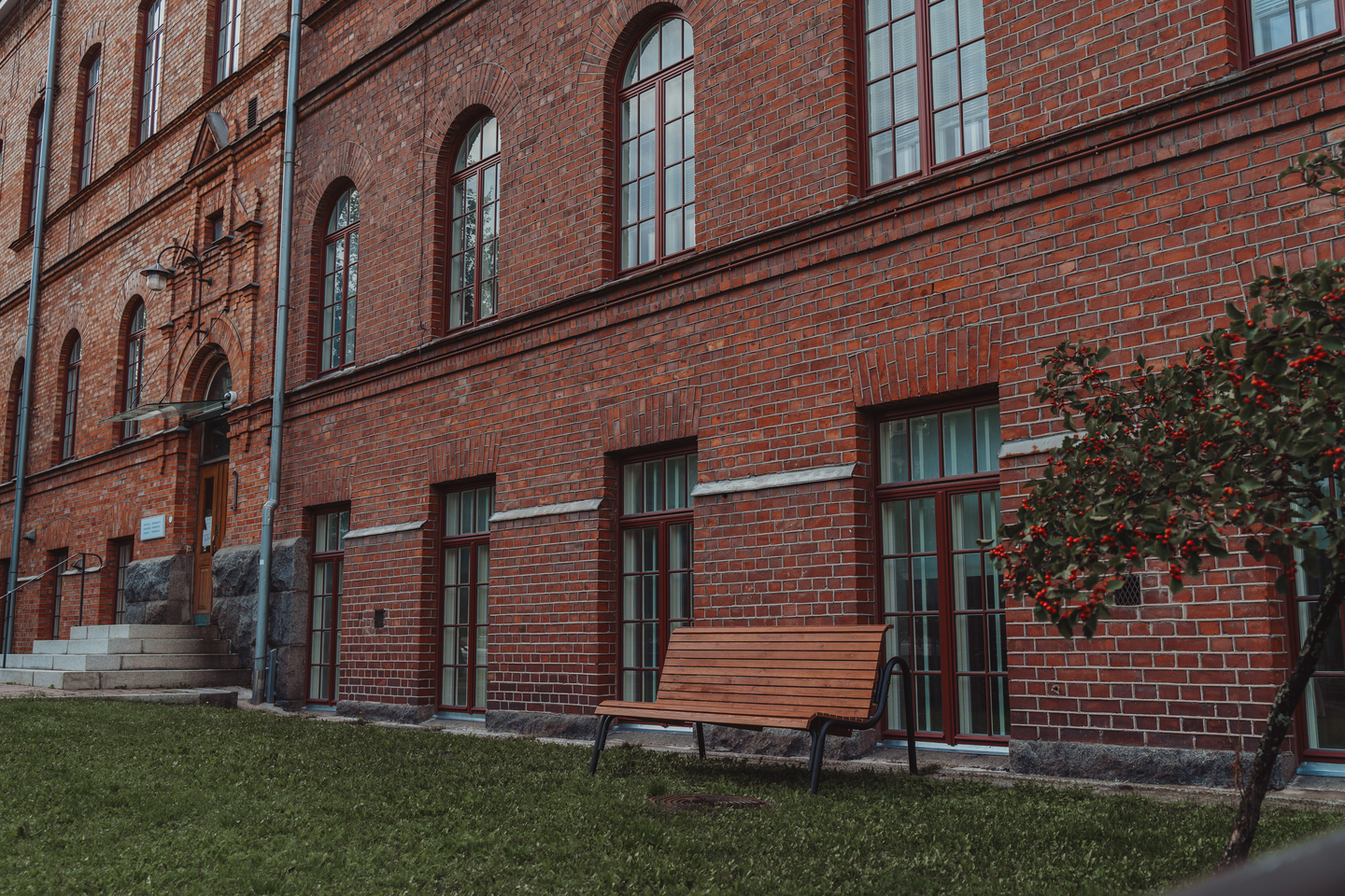 Penkki Varax Frida musta runko