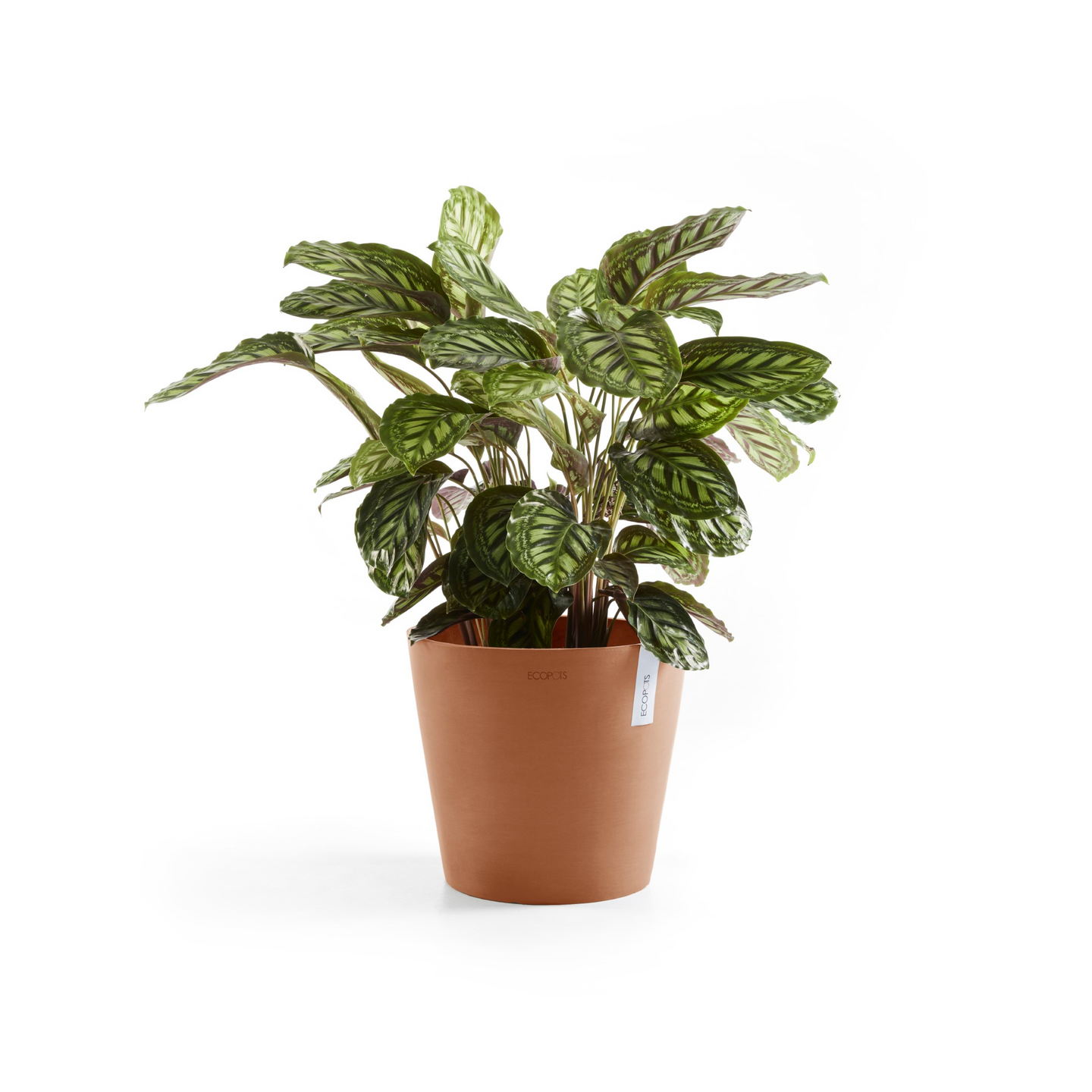 Ruukku Ecopots Amsterdam 40cm terracotta