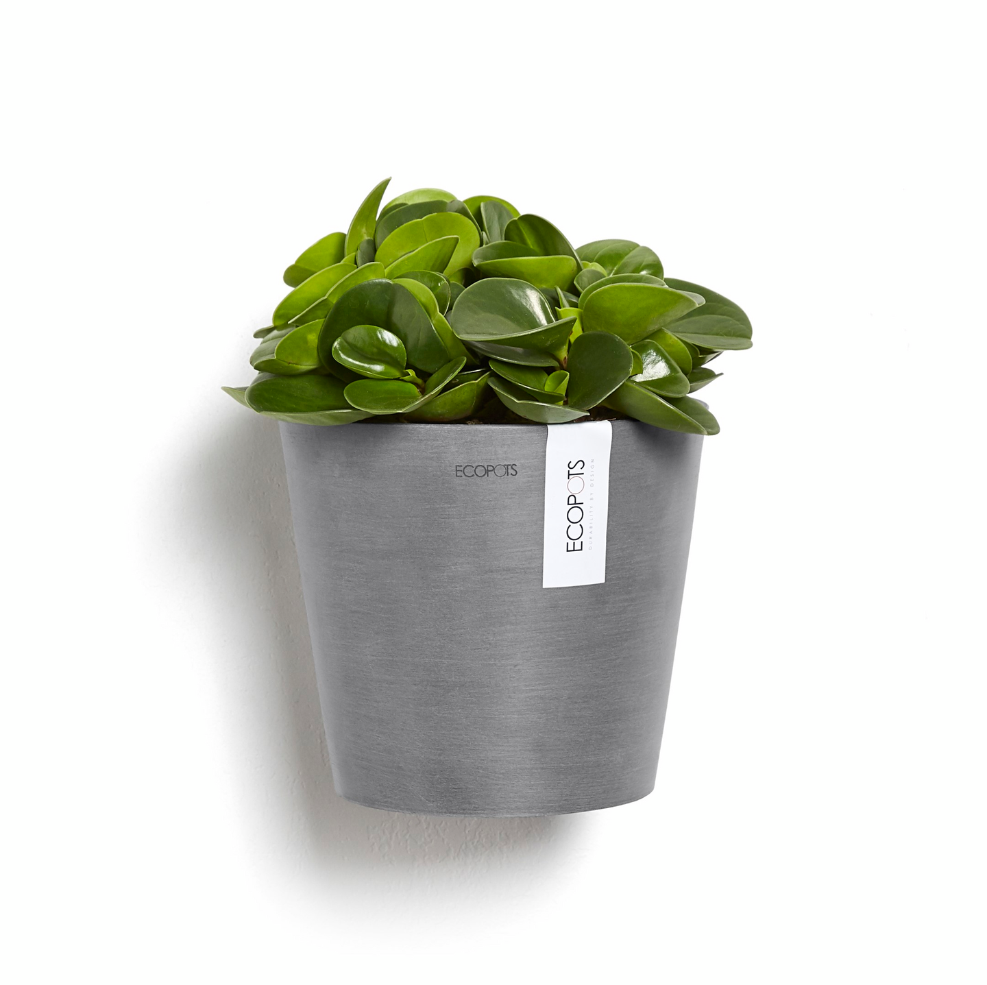 Seinäruukku Ecopots Amsterdam 20cm harmaa