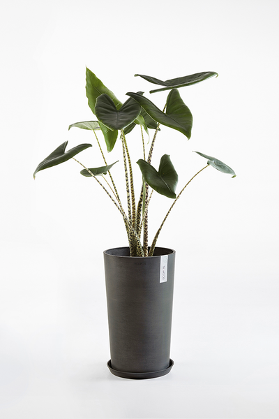 Ruukku Ecopots Amsterdam keskikorkea 50cm tummanharmaa