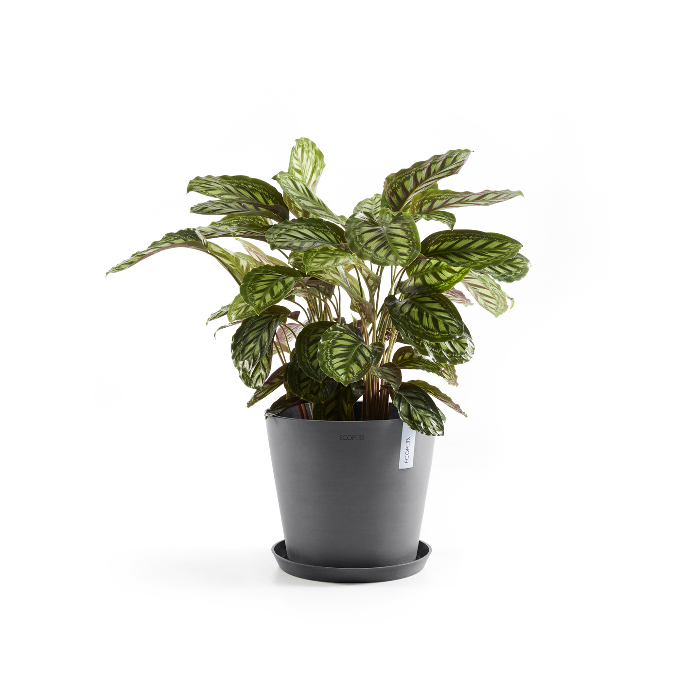 Ruukku Ecopots Amsterdam 25cm harmaa