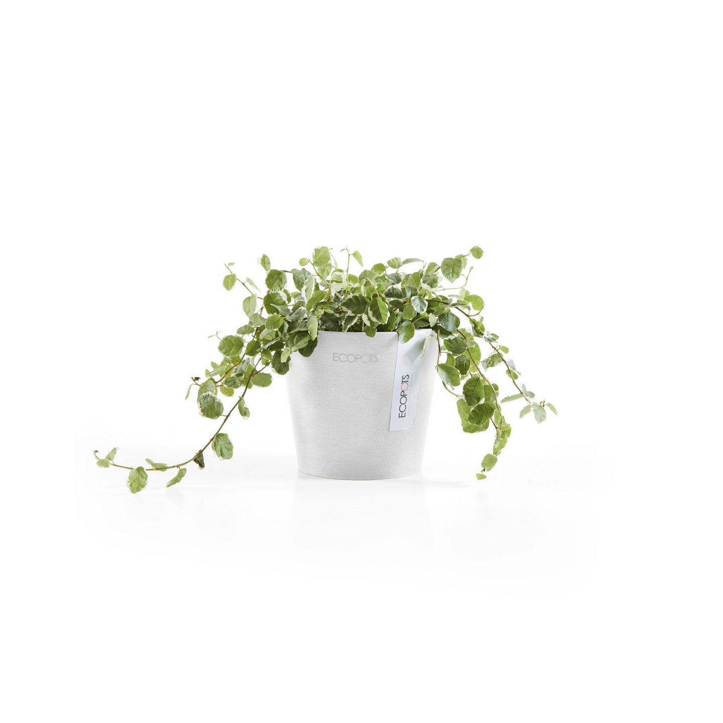 Ruukku Ecopots Amsterdam mini 10,5cm valkoinen