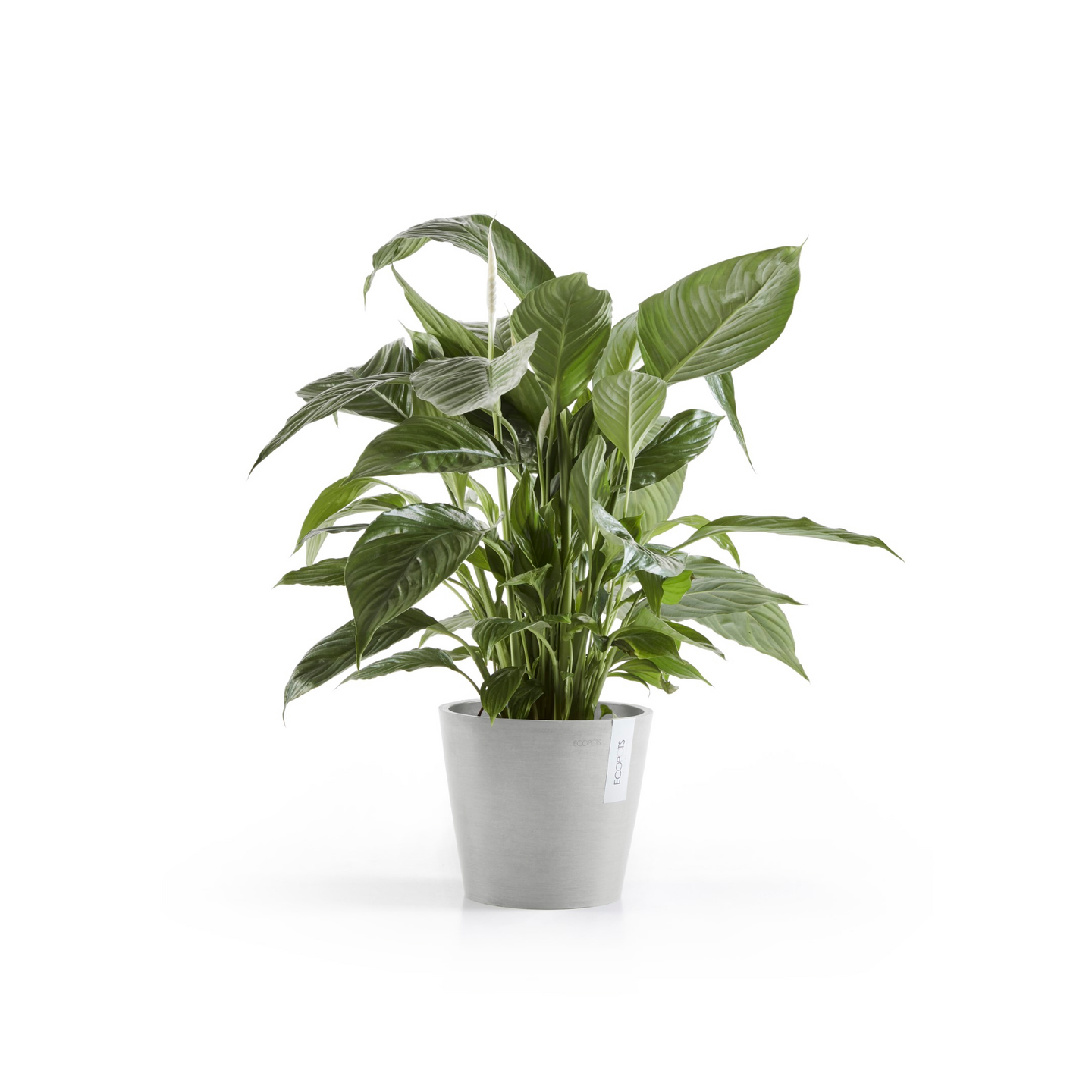 Ruukku Ecopots Amsterdam 20cm vaaleanharmaa