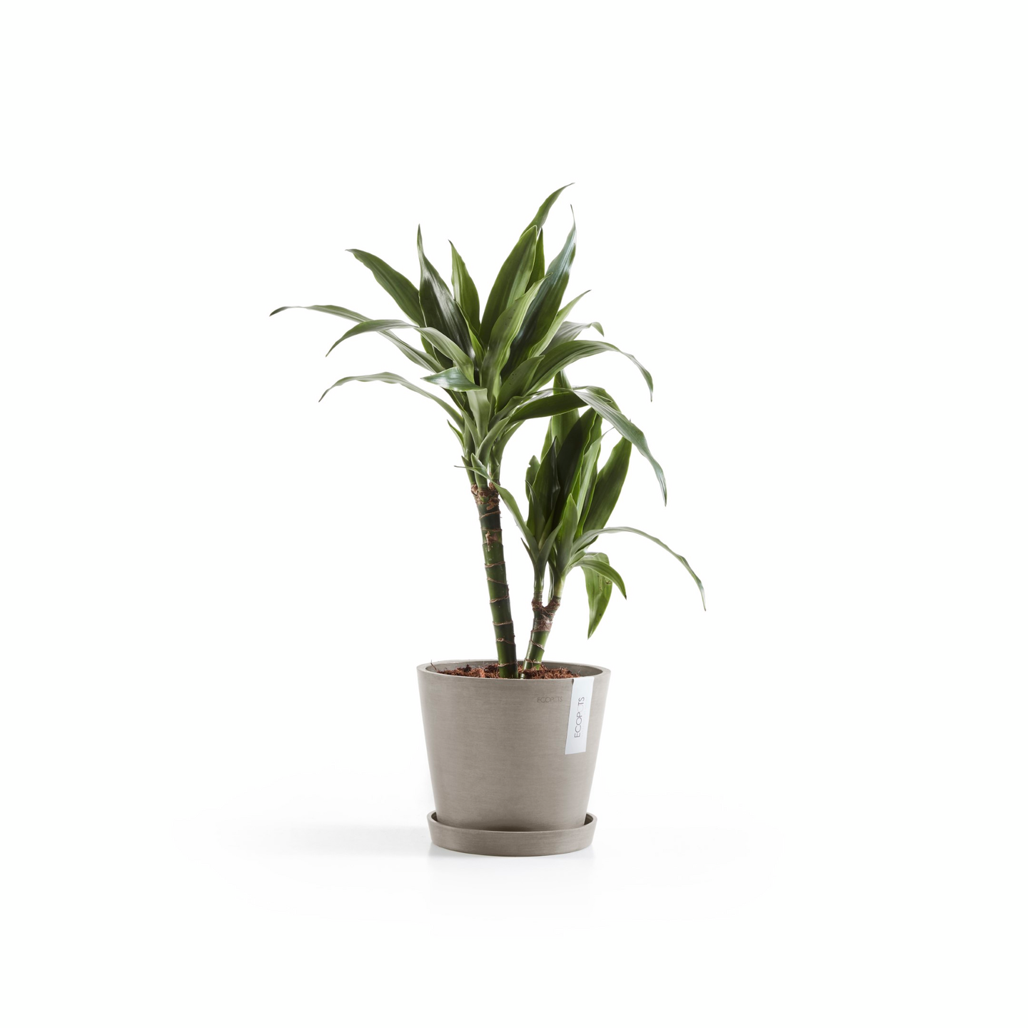 Ruukku Ecopots Amsterdam 20cm taupe