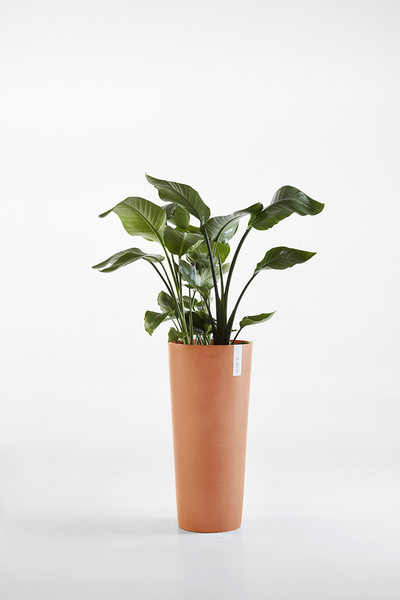 Ruukku Ecopots Amsterdam korkea 72,5cm terracotta