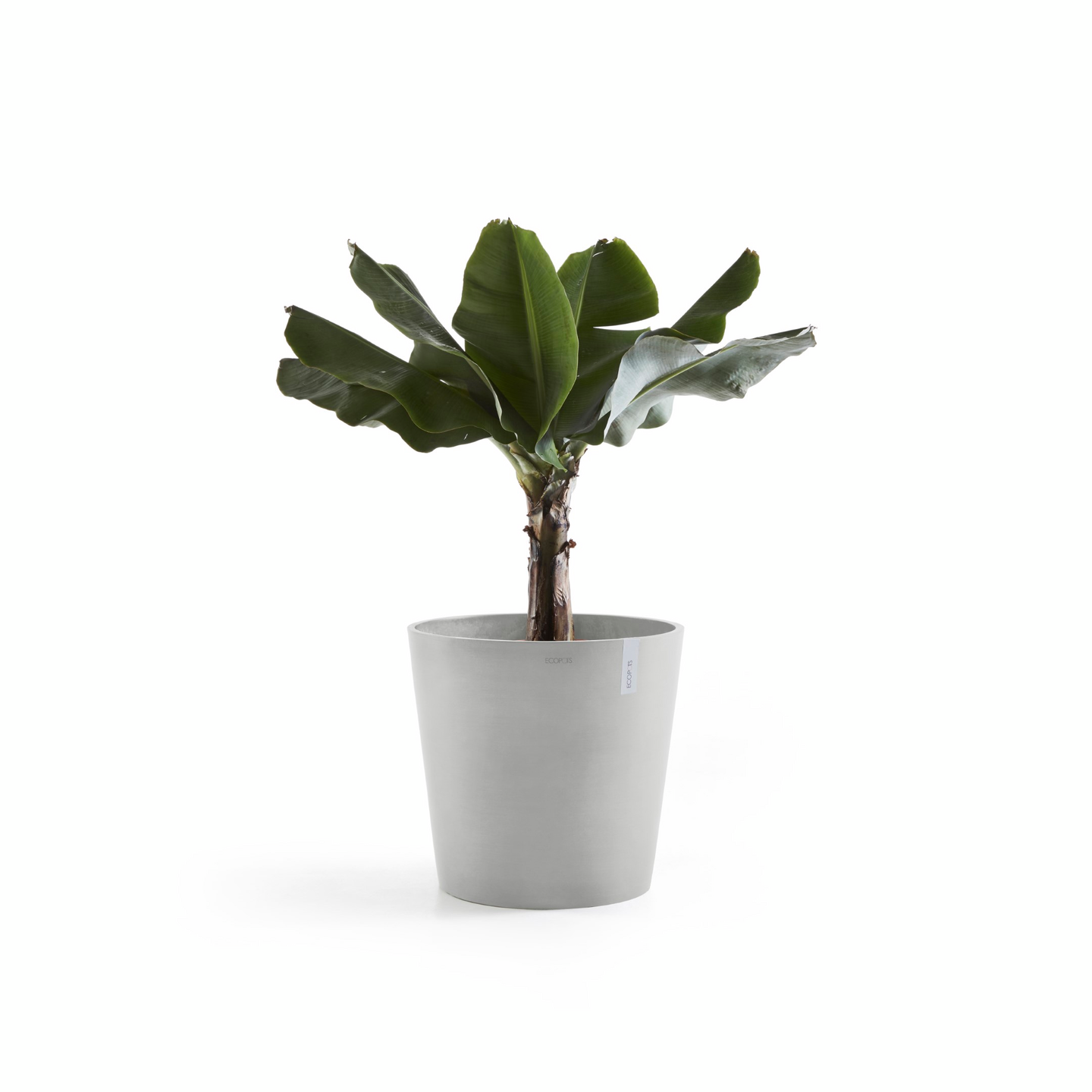 Ruukku Ecopots Amsterdam 50cm valkoharmaa