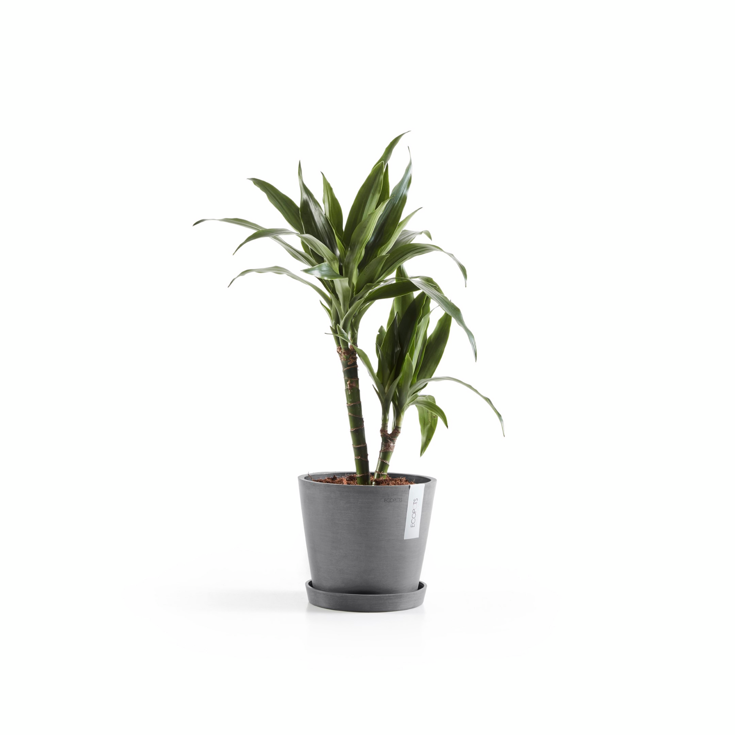 Ruukku Ecopots Amsterdam 20cm harmaa