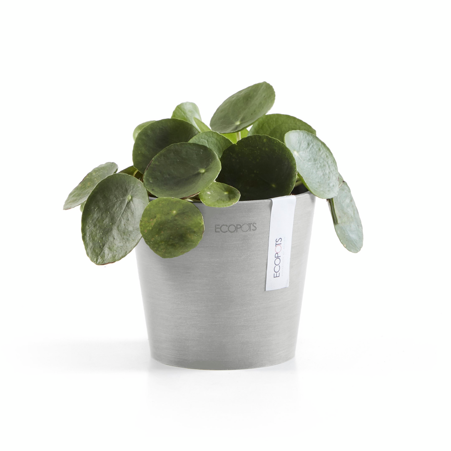 Ruukku Ecopots Amsterdam mini 13cm valkoharmaa