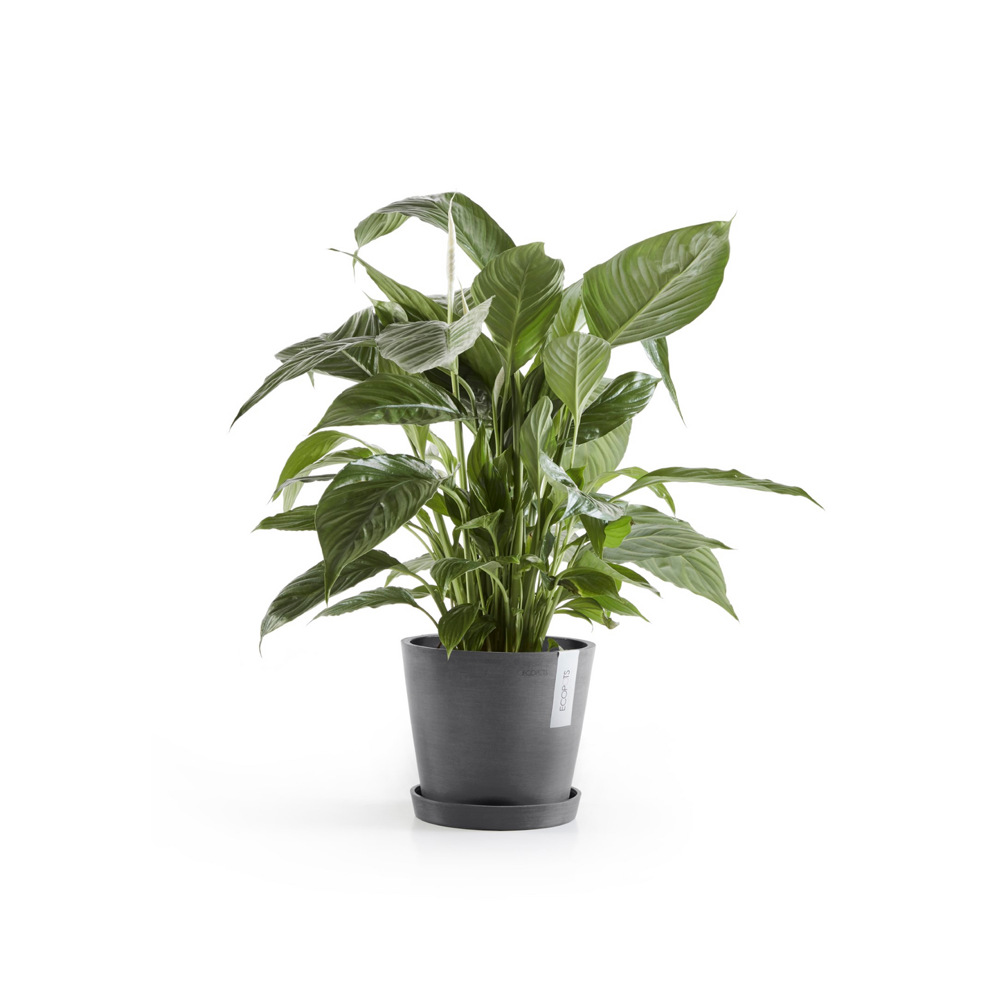 Ruukku Ecopots Amsterdam 20cm harmaa