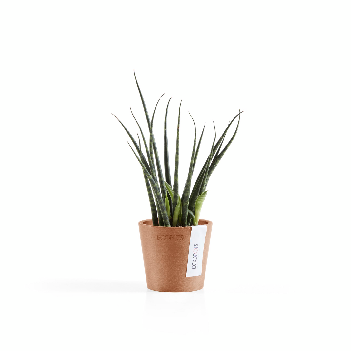 Ruukku Ecopots Amsterdam mini 8cm terracotta