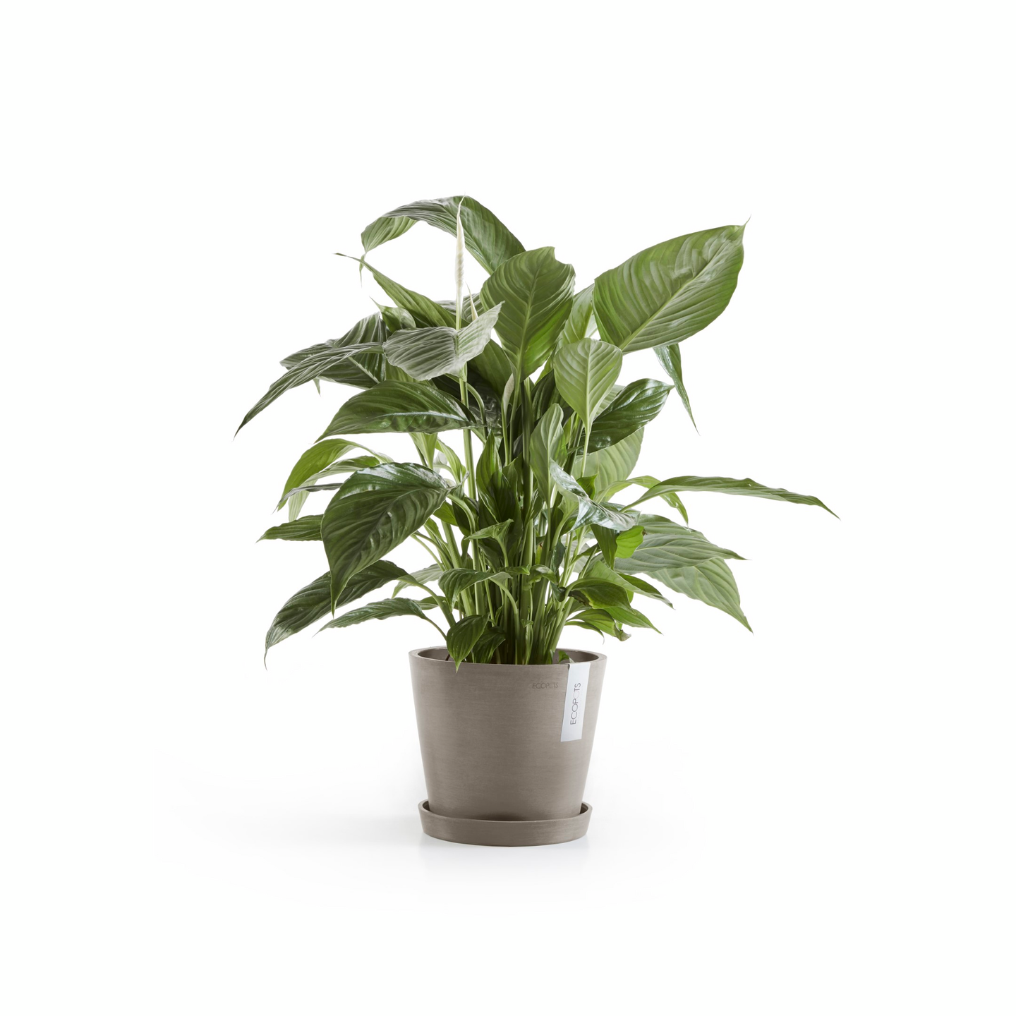 Ruukku Ecopots Amsterdam 20cm taupe