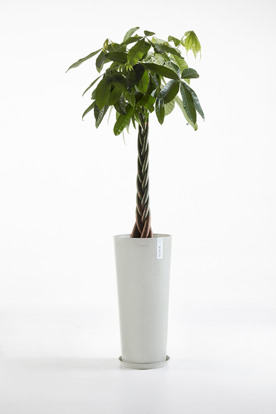 Ruukku Ecopots Amsterdam korkea 72,5cm valkoharmaa