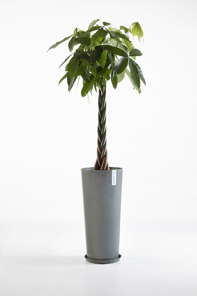 Ruukku Ecopots Amsterdam korkea 72,5cm harmaa