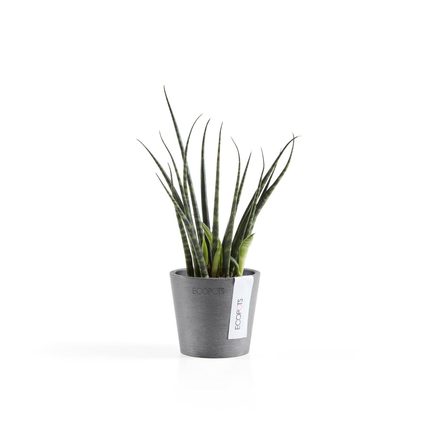 Ruukku Ecopots Amsterdam mini 8cm harmaa