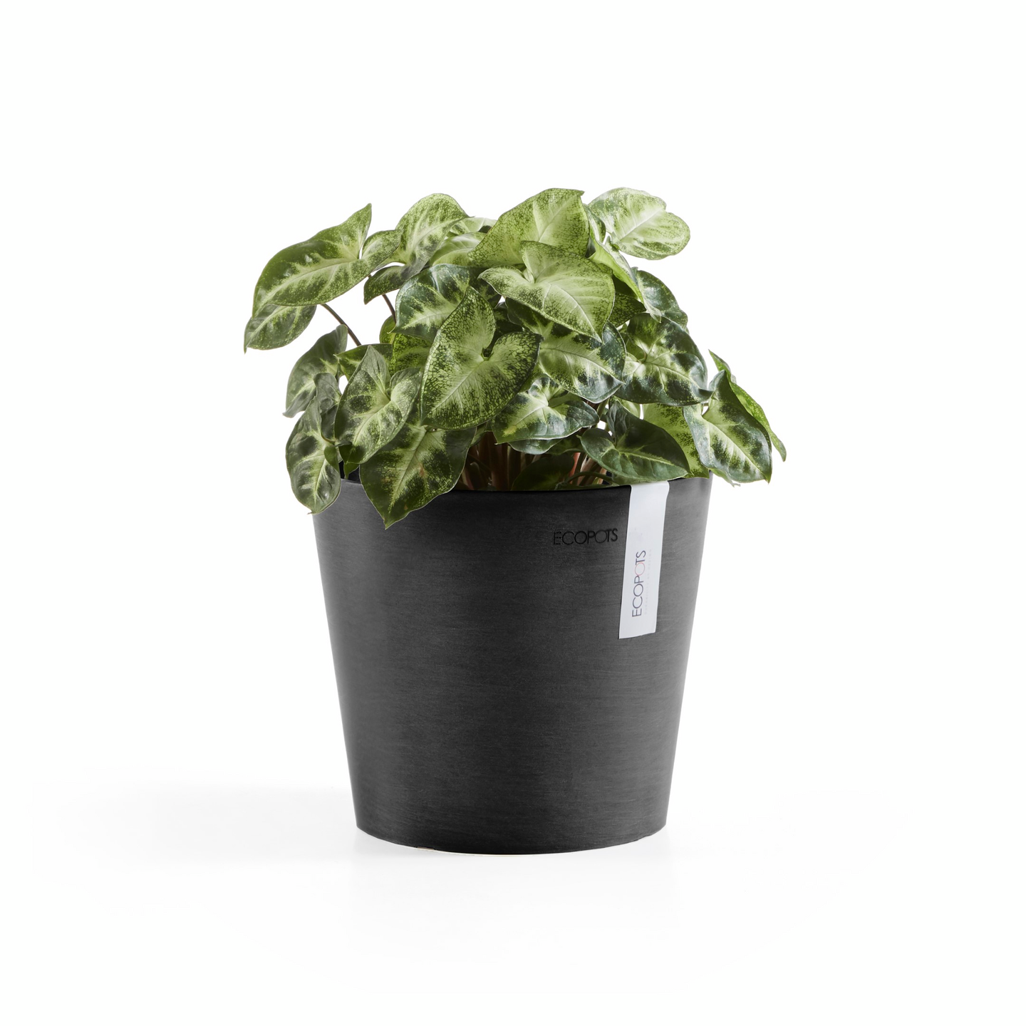 Ruukku Ecopots Amsterdam mini 17cm tummanharmaa