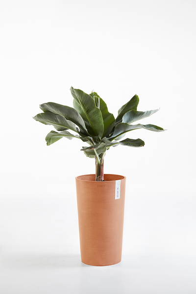 Ruukku Ecopots Amsterdam keskikorkea 50cm terracotta