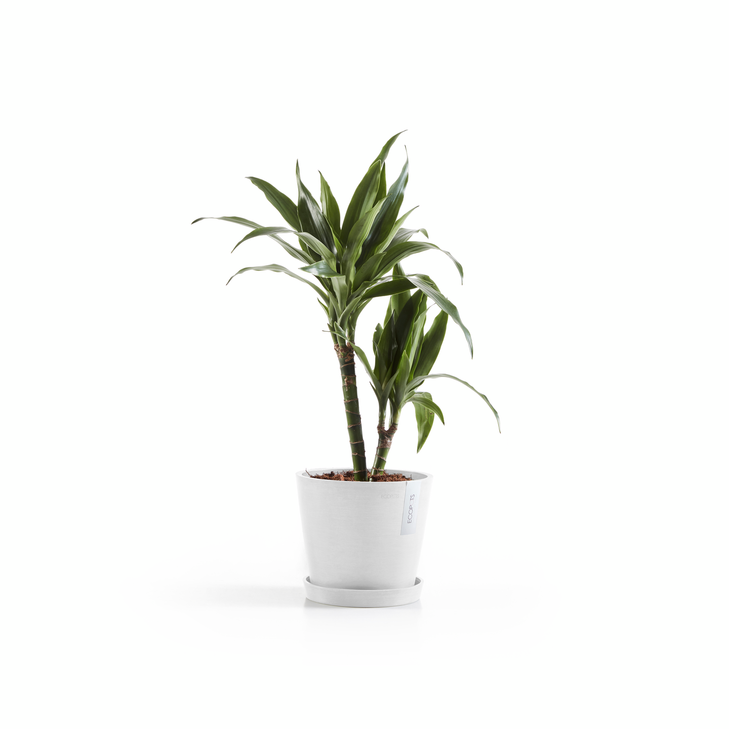 Ruukku Ecopots Amsterdam 20cm valkoinen