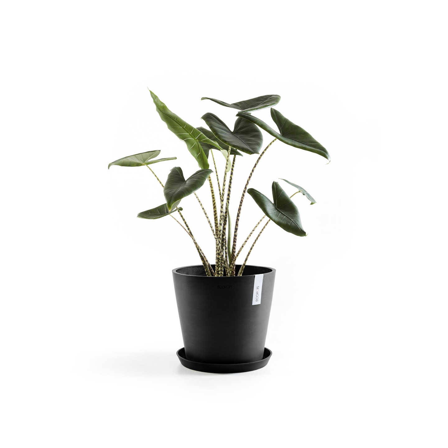 Ruukku Ecopots Amsterdam 25cm tummanharmaa