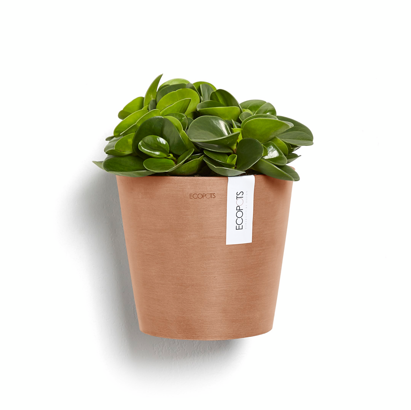 Seinäruukku Ecopots Amsterdam 20cm terracotta