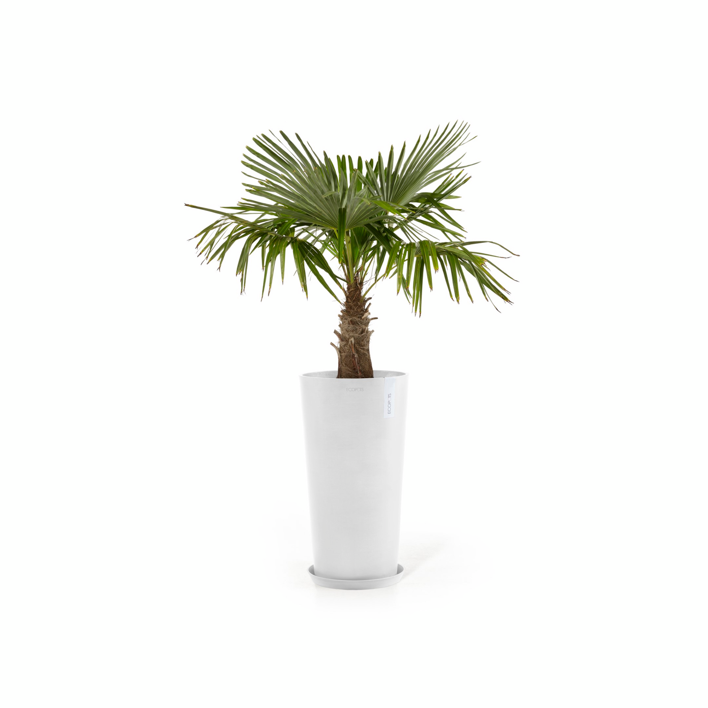 Ruukku Ecopots Amsterdam keskikorkea 66cm valkoinen
