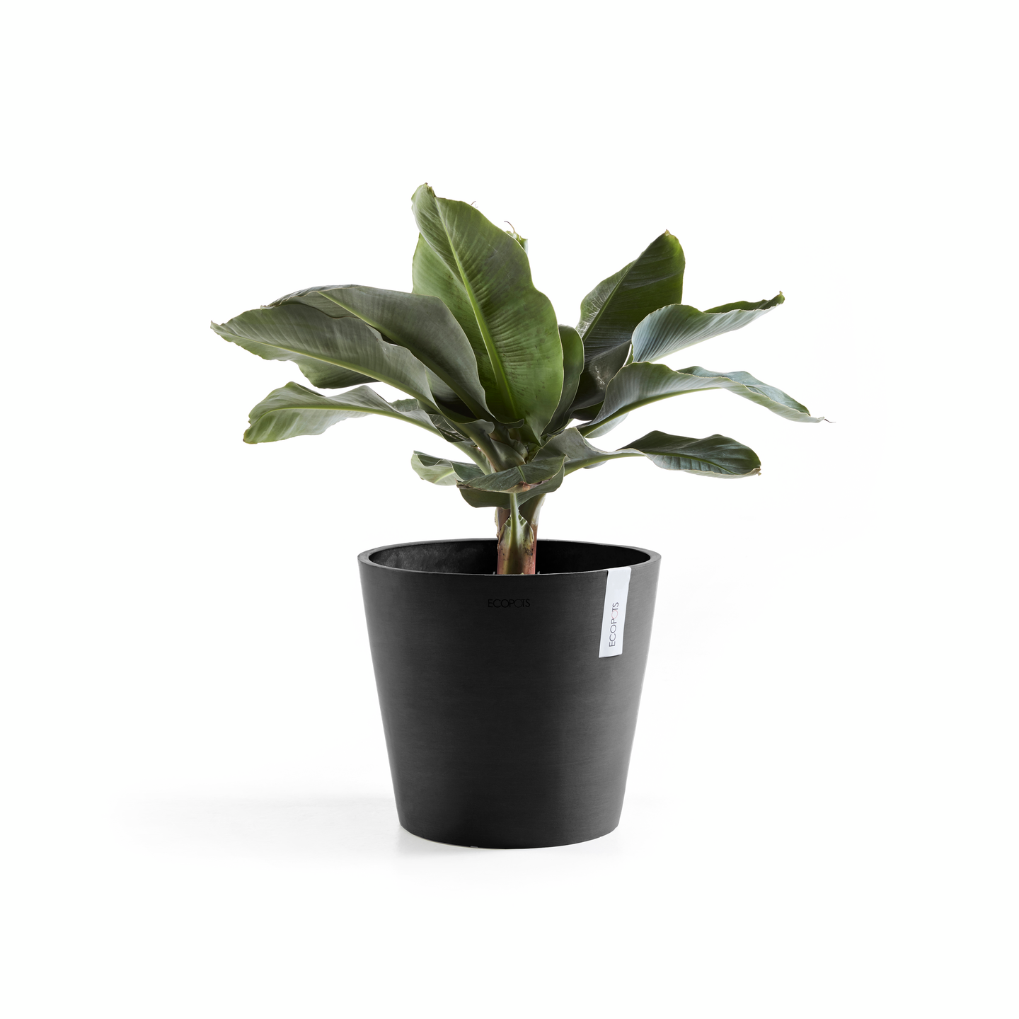 Ruukku Ecopots Amsterdam 25cm tummanharmaa