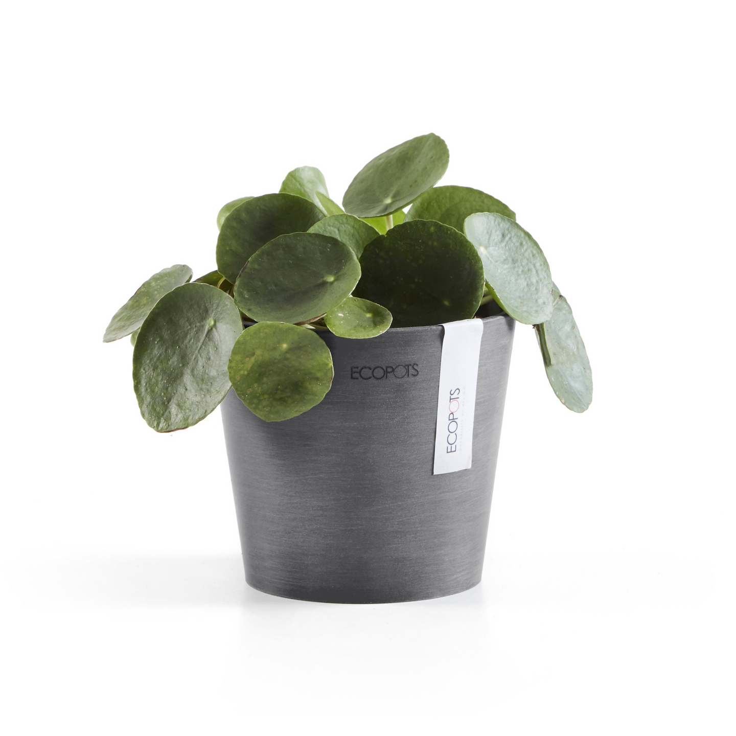 Ruukku Ecopots Amsterdam mini 13cm harmaa