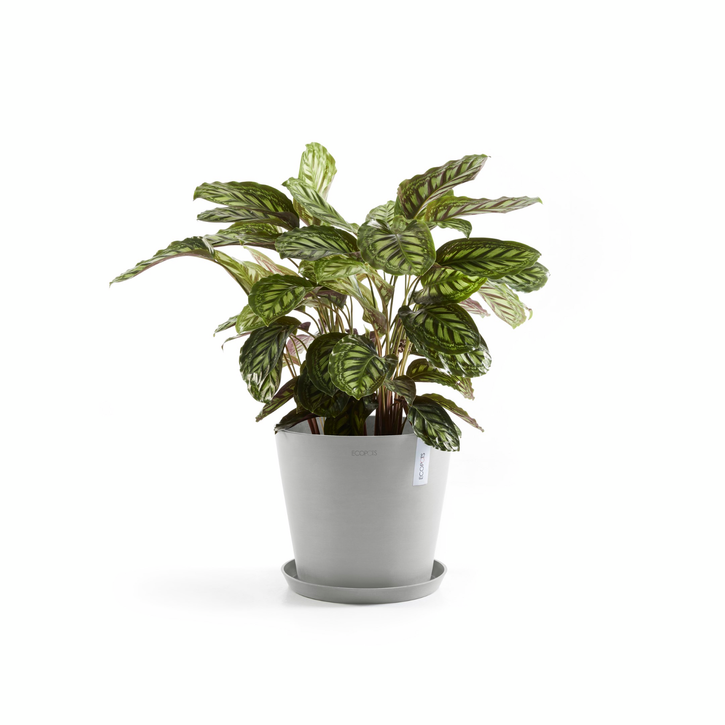 Ruukku Ecopots Amsterdam 30cm valkoharmaa