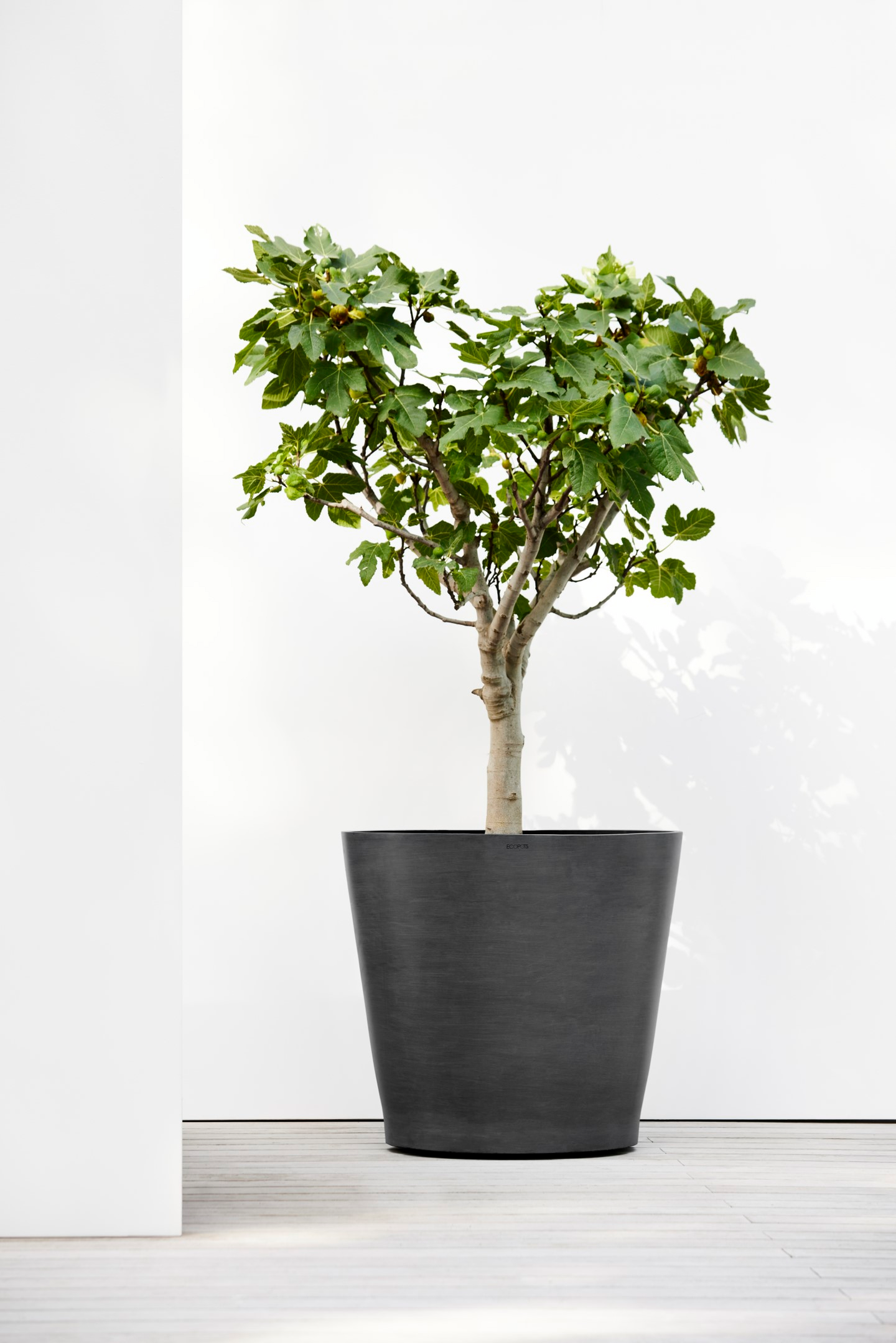 Ruukku Ecopots Amsterdam pyörillä 80cm tummanharmaa