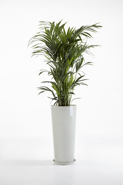 Ruukku Ecopots Amsterdam korkea 72,5cm valkoharmaa