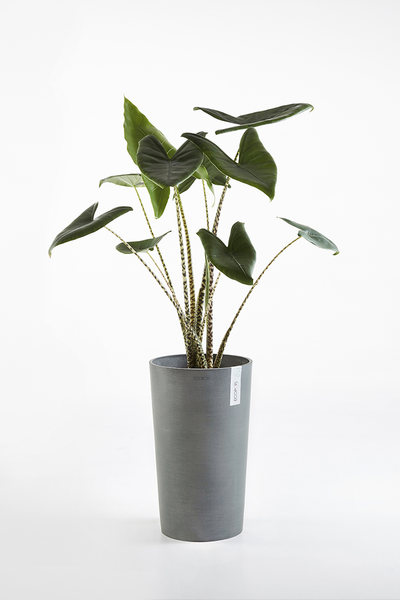 Ruukku Ecopots Amsterdam keskikorkea 50cm harmaa