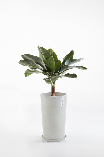 Ruukku Ecopots Amsterdam keskikorkea 50cm valkoharmaa