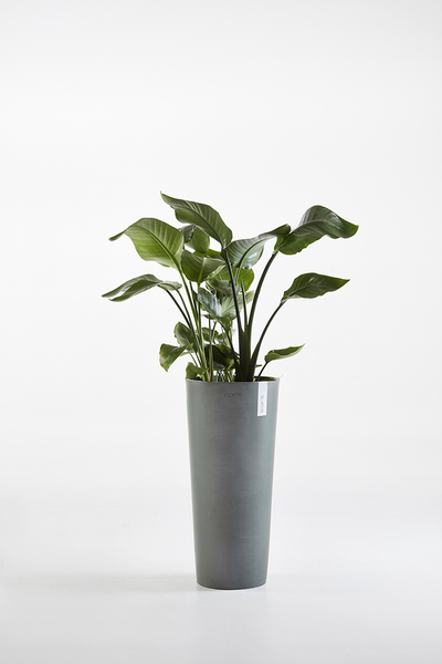 Ruukku Ecopots Amsterdam korkea 72,5cm harmaa