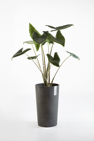 Ruukku Ecopots Amsterdam keskikorkea 50cm tummanharmaa