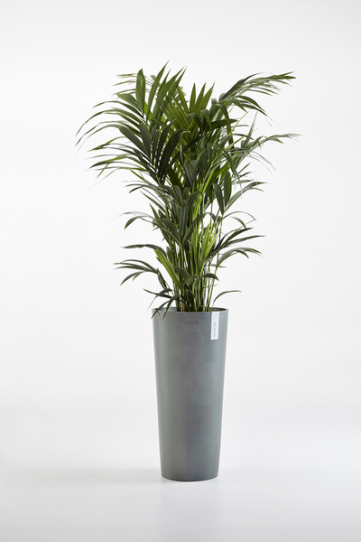 Ruukku Ecopots Amsterdam korkea 72,5cm harmaa