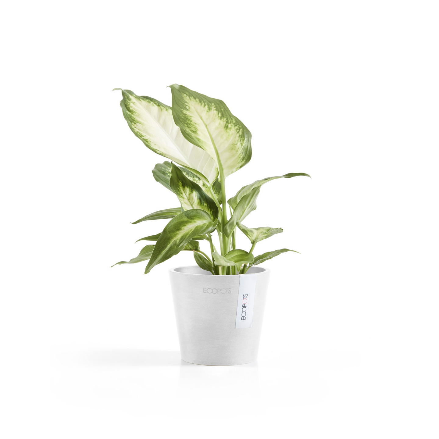 Ruukku Ecopots Amsterdam mini 10,5cm valkoinen