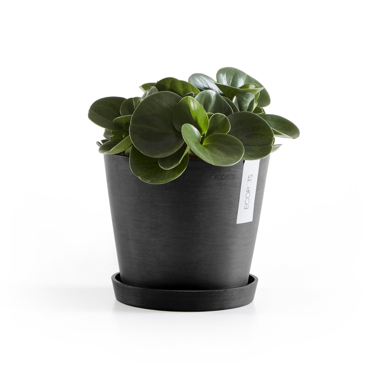 Ruukku Ecopots Amsterdam 20cm tummanharmaa
