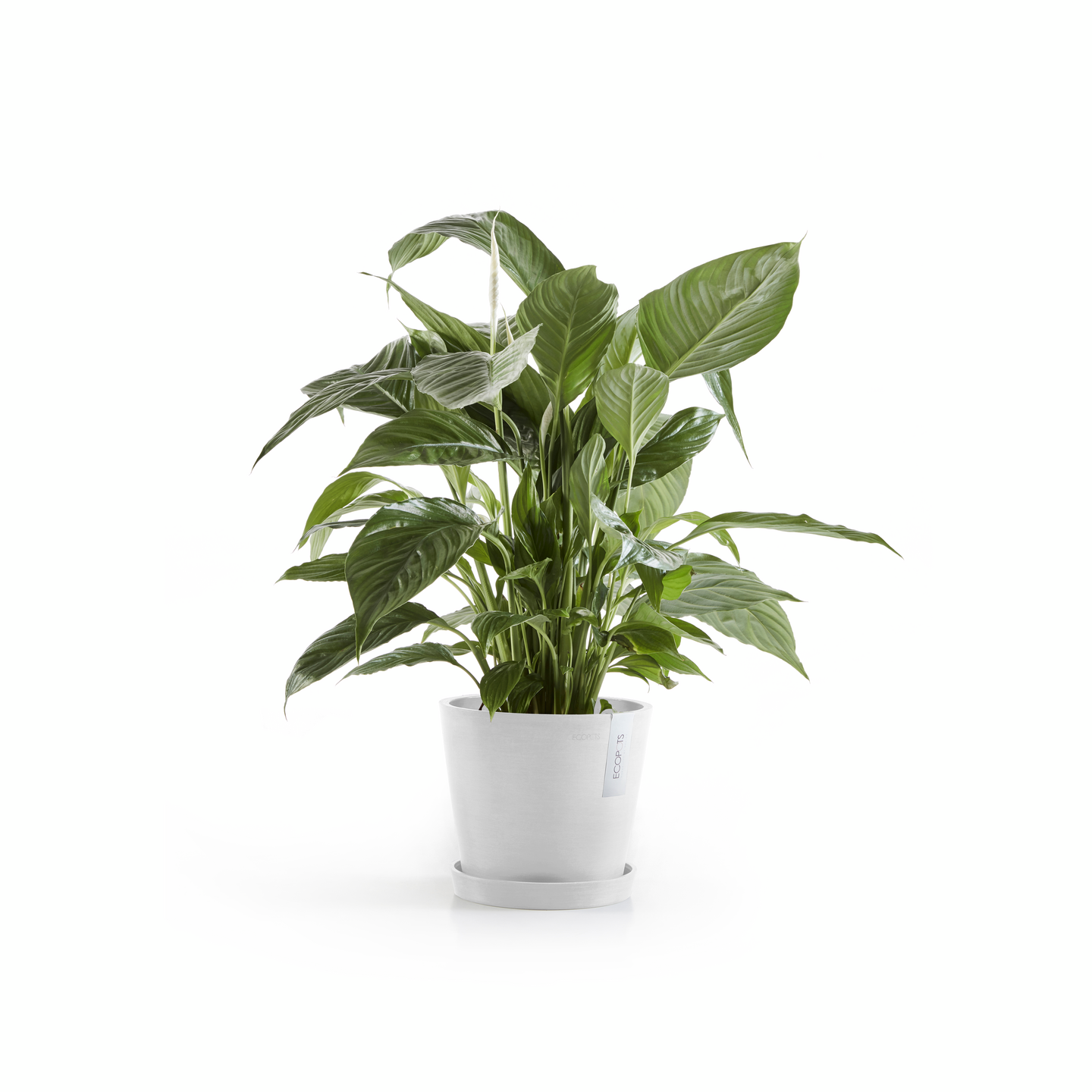Ruukku Ecopots Amsterdam 20cm valkoinen