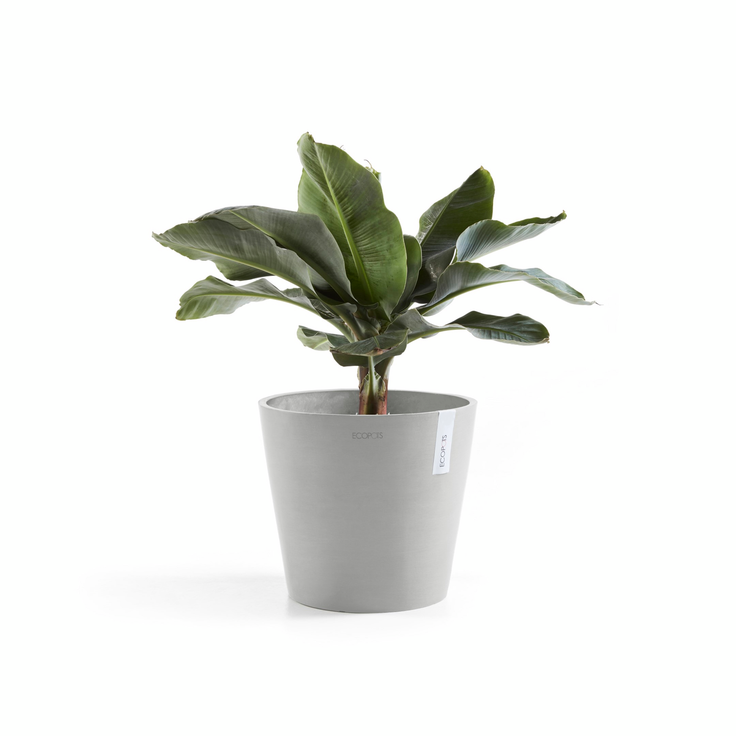 Ruukku Ecopots Amsterdam 30cm valkoharmaa