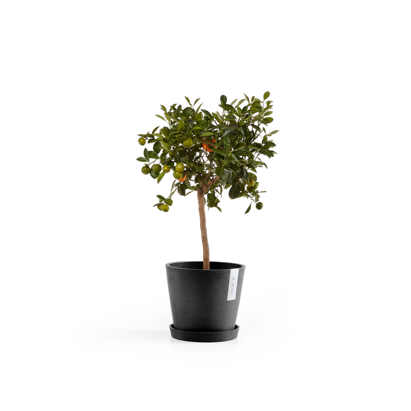 Ruukku Ecopots Amsterdam 20cm tummanharmaa