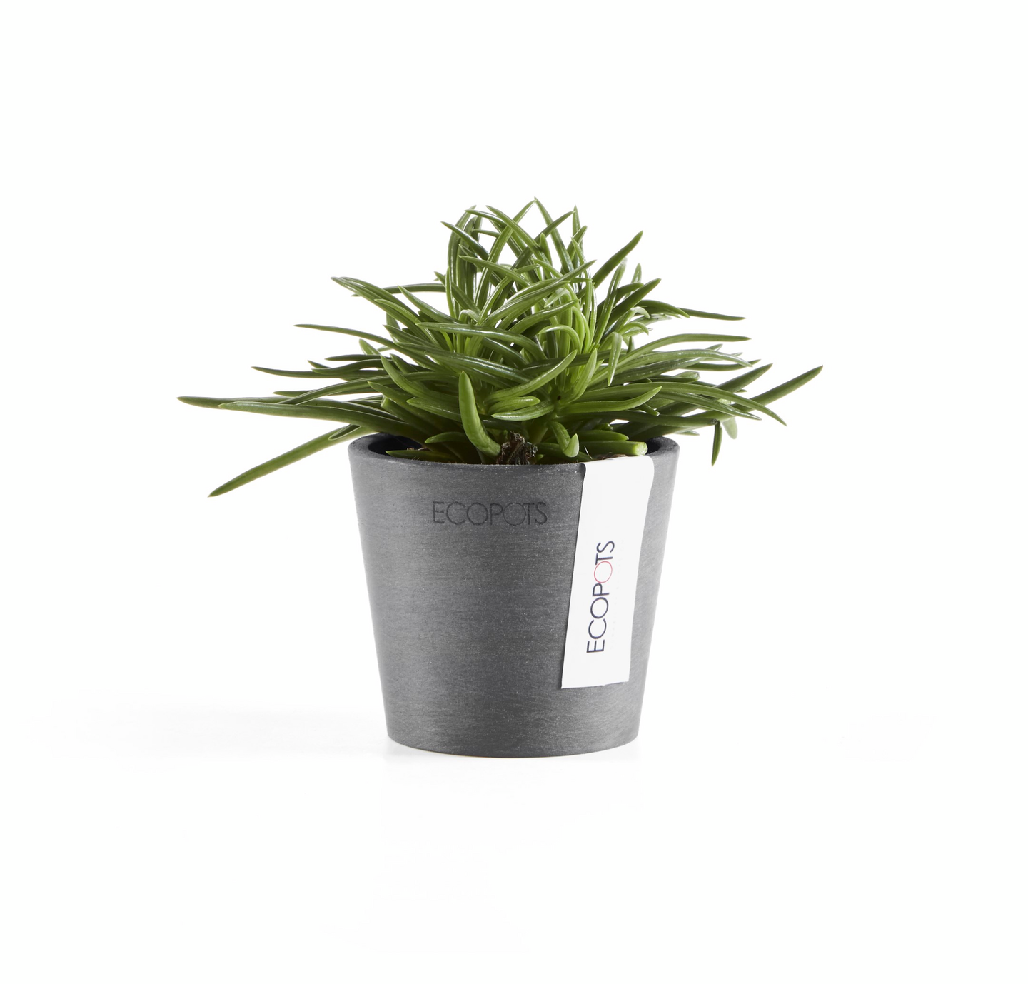Ruukku Ecopots Amsterdam mini 8cm harmaa