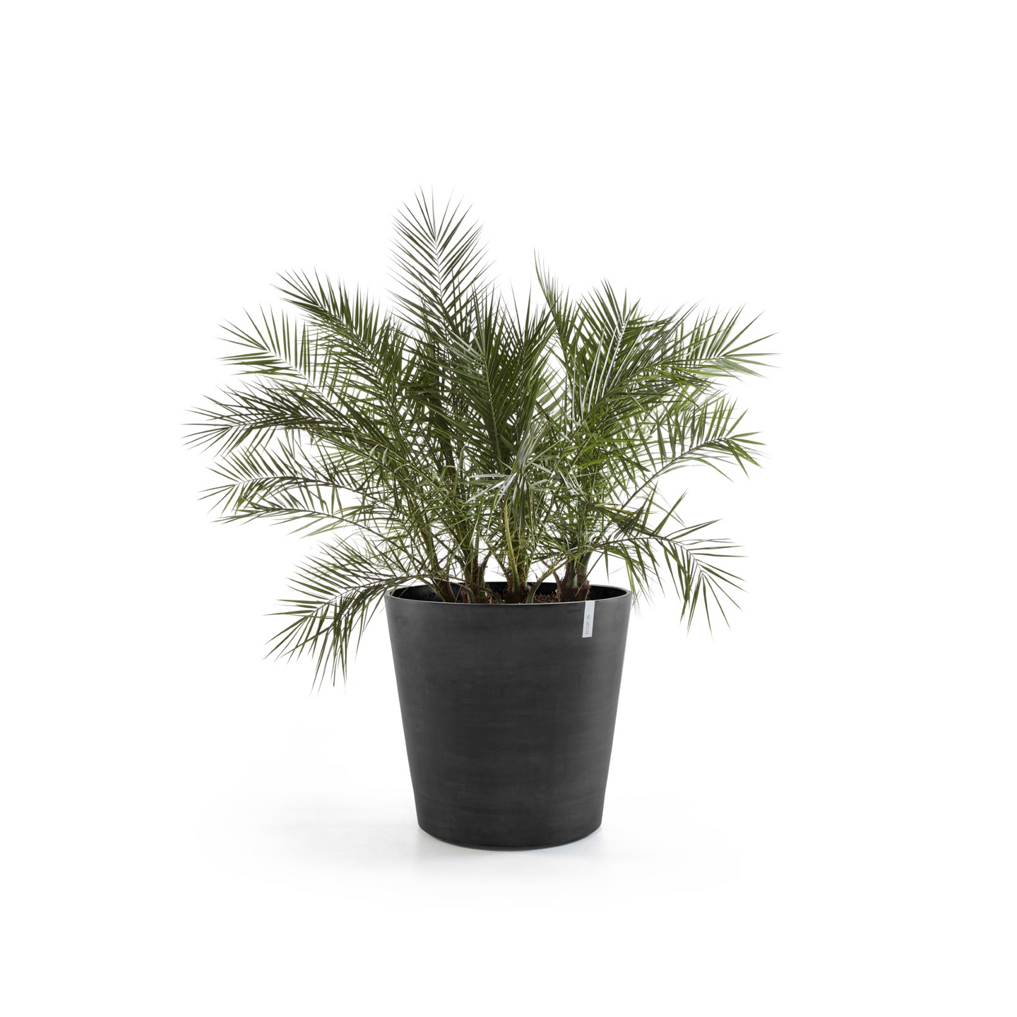 Ruukku Ecopots Amsterdam pyörillä 60cm tummanharmaa
