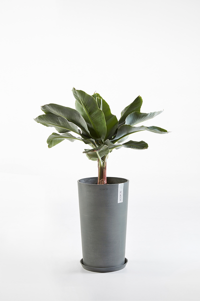 Ruukku Ecopots Amsterdam keskikorkea 50cm harmaa