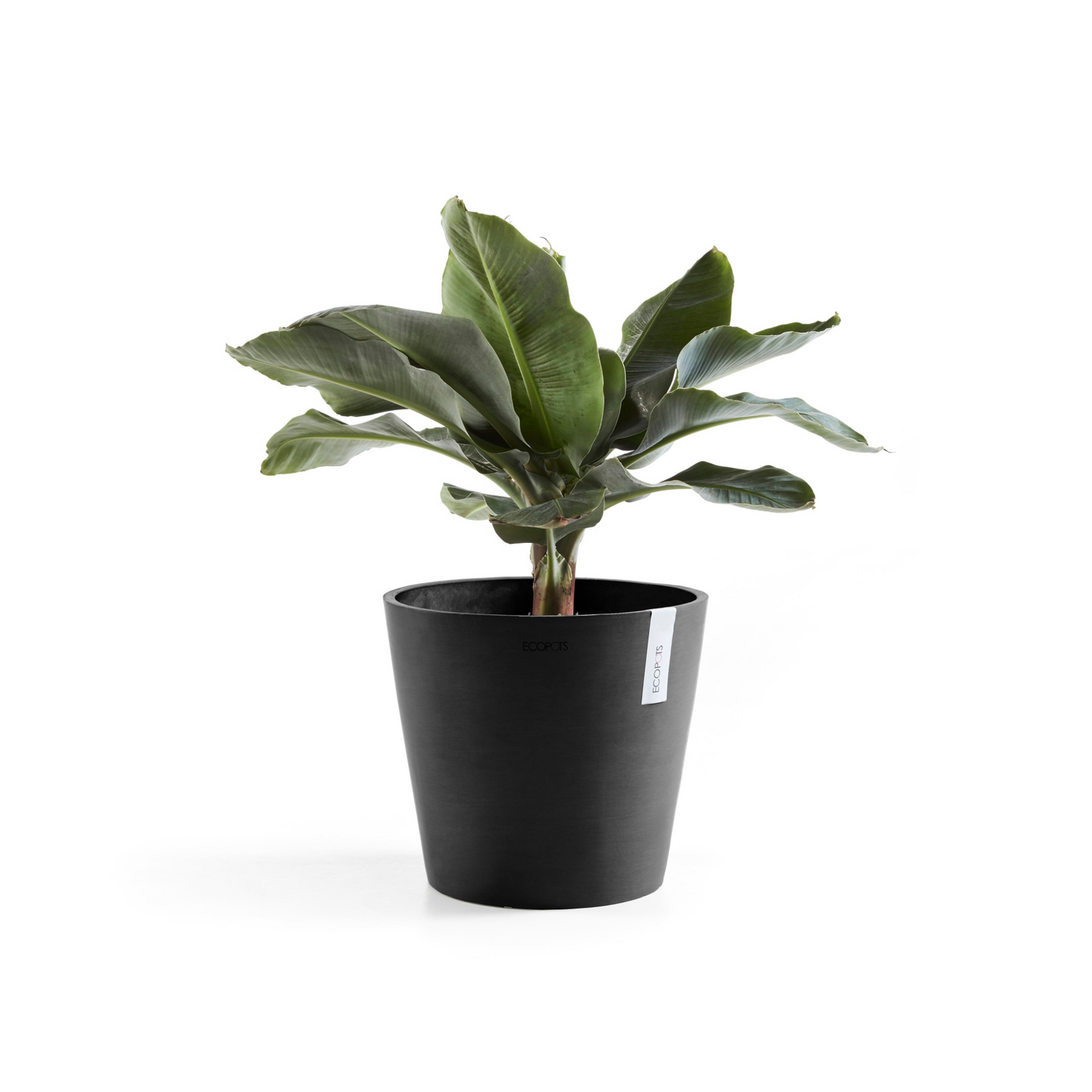 Ruukku Ecopots Amsterdam 30cm tummanharmaa