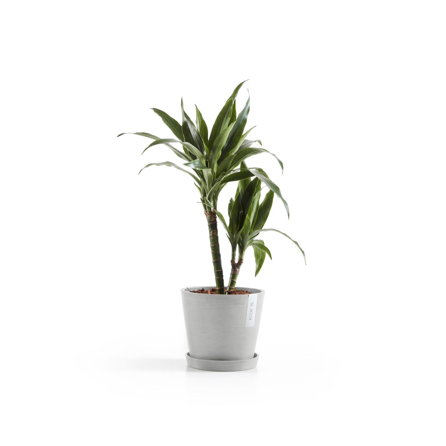 Ruukku Ecopots Amsterdam 20cm vaaleanharmaa