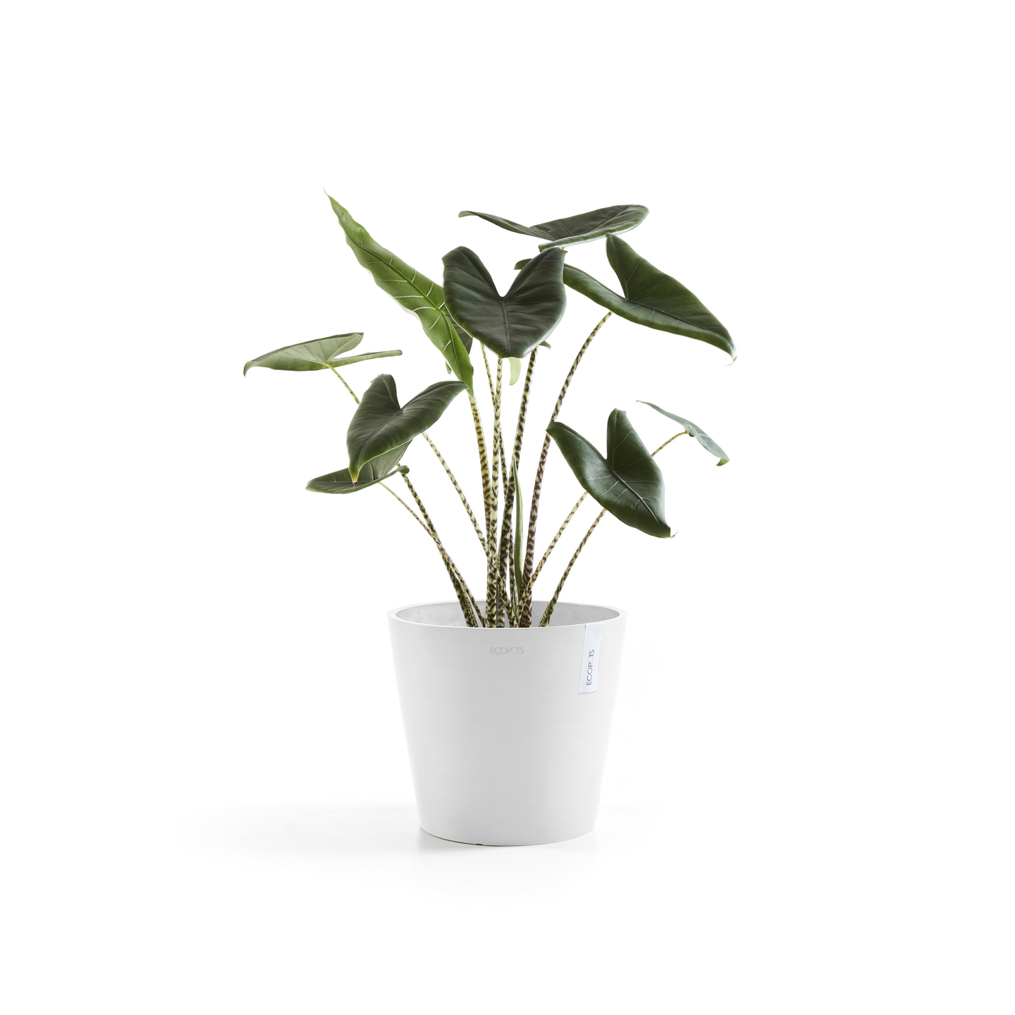 Ruukku Ecopots Amsterdam 25cm valkoinen